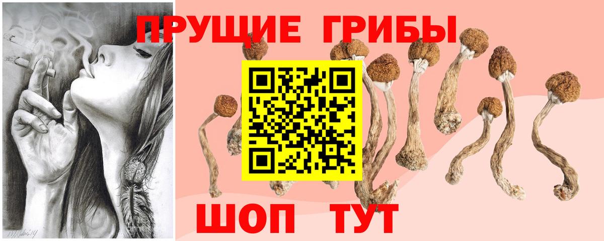Галлюциногенные грибы MAGIC MUSHROOMS Грязи